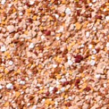 LP 0209 (00330-058)